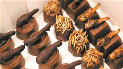 أوروبا تعدم الماشية وتقدم الحشرات بديلاً