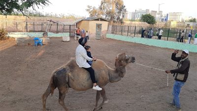 توافد الآلاف من المواطنين بكفر الشيخ على حديقة الحيوان في أول أيام عيد الأضحى 