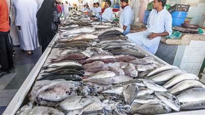 أسعار الأسماك ثالث أيام عيد الأضحى المبارك