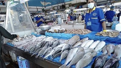 أسعار السمك اليوم الجمعة 