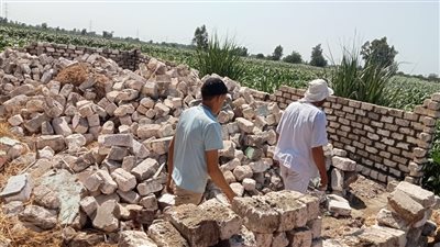 إزالة التعديات على الأراضي الزراعية بكفر الشيخ