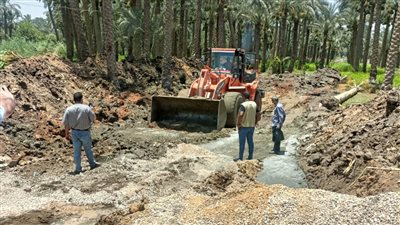 إزالة 15 حالة تعدٍّ بالبناء المخالف علي الأراضي الزراعية في الجيزة