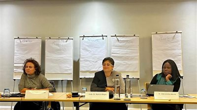 نميرة نجم تطالب بوجود آليات فعالة لحماية حقوق المهاجرين 