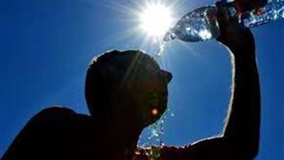 أيام الكلب.. أسخن 40 يومًا في العام 