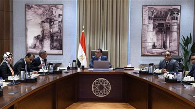 رئيس الوزراء يتابع مع الرئيس التنفيذي لوكالة الفضاء المصرية عددًا من المشروعات  