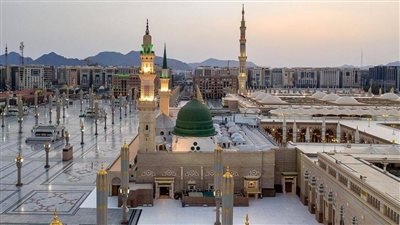 فضل زيارة مقام النبي عليه السلام وروضته الشريفة