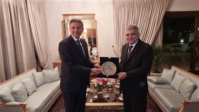 الفريق أسامة ربيع يلتقي السفير المصري باليونان 