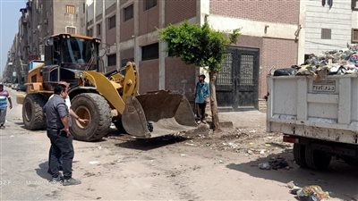 رفع 530 طنًا من القمامة بالدقهلية 