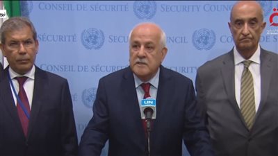 مندوب فلسطين بالأمم المتحدة يطالب بالحماية الدولية.. العدوان على جنين إرهاب