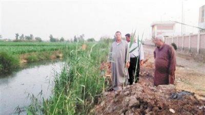 الإهمال يحاصر ميت الحوفيين ببنها