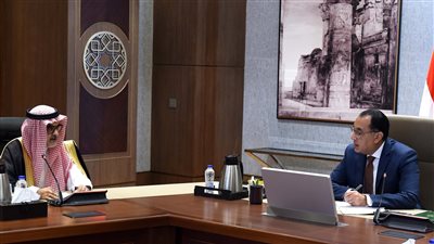 مدبولي يبحث مع مسئولي 