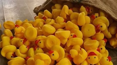 محمد عبد الرحمن يروج لـ 