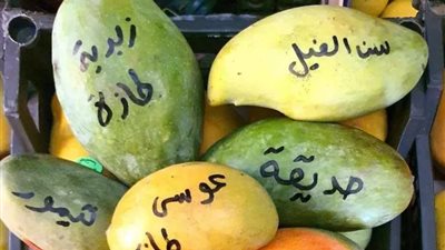 أغربها دبشة وجولك.. أنواع المانجو وأسعارها بالأسواق