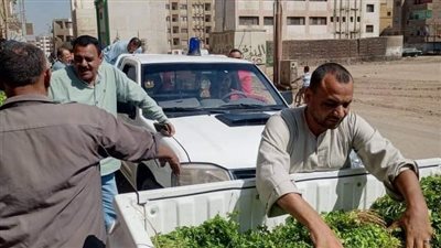 حملة مكبرة لرفع الإشغالات بشوارع نجع حمادي