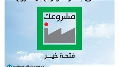 تمويل 33 ألف مشروع وتوفير الآلاف من فرص العمل بالبحيرة