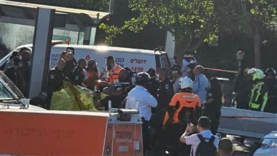 لحظة القبض على سيدة فلسطينية نفذت عملية طعن (فيديو)