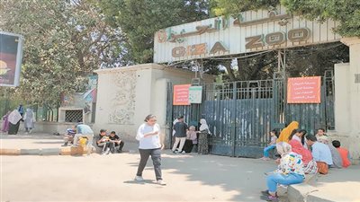 بدء أعمال تطوير حديقتى الحيوان والأورمان