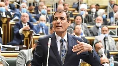 برلمانية الوفد ترفض مشروع قانون التحالف الوطني للعمل الأهلي