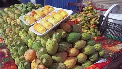 فاكهة الغلابة للأثرياء فقط.. أسعار التين الشوكي تفوق التوقعات لهذه الأسباب