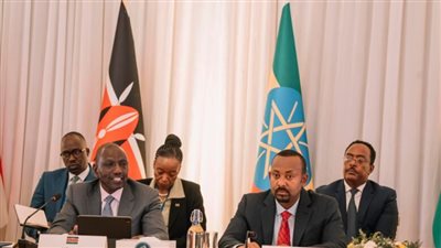 الوفد تكشف أسباب تعليق الحكومة السودانية حضور قمة إيجاد