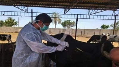 لمدة شهر.. انطلاق الحملة القومية 