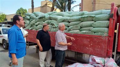 ضبط 181 شيكارة دقيق مدعم قبل بيعها بالسوق السوداء ببني سويف
