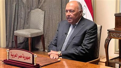 وزير الخارجية يلقي بيانا عاجلا أمام الأمم المتحدة عن واقعة حرق القرآن