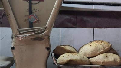 الاسماعيلية تكثف حملاتها التموينية لضبط الأسواق والأسعار 