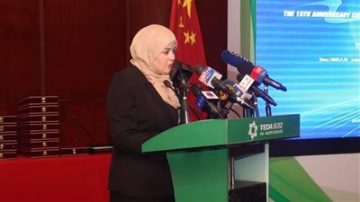 الرئيس التنفيذي لتيد مصر: المنطقة الاقتصادية شريك قوي للاستثمارات