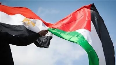 مصر تحاول إيقاف نزيف الدم السوداني بقمة دول الجوار.. فيديو
