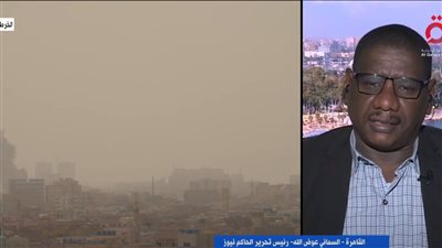 كاتب صحفي سوداني: الشعب يعول على مصر لإنقاذ البلاد (فيديو)