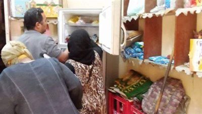 قنا: ضبط ملح ومثلجات فاسدة بنجع حمادى