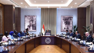 مدبولي يلتقي الأمين العام لمنظمة 