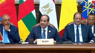 السيسي: قمة دول جوار السودان تنعقد في لحظة تاريخية فارقة (فيديو)