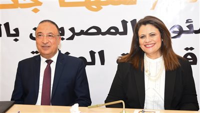 الدولة المصرية نجحت في التصدي للهجرة غير الشرعية.. تفاصيل