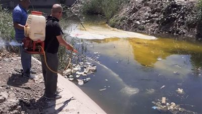 حملة لمكافحة البعوض والقوارض بقريتى الجبلاو والعليقات بقنا