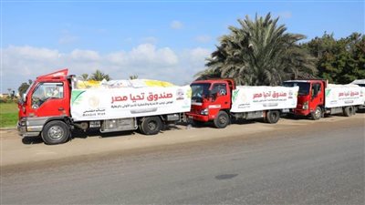   جهود صندوق تحيا مصر لمواجهة الأزمات والكوارث خلال 9 سنوات .. انفوجراف