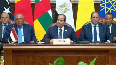 قمة دول جوار السودان.. طرفا الصراع يؤيدان مخرجات الاجتماع 