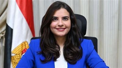 خارجية النواب تطلق مبادرة لمبادلة ديون الدول بمشروعات صديقة للبيئة