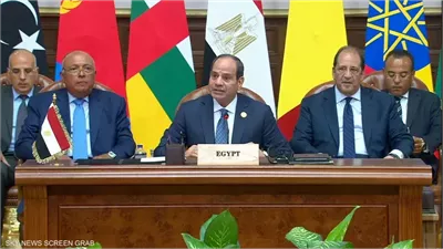أول رد من الدعم السريع على بيان قمة دول جوار السودان بالقاهرة