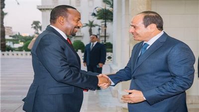 هل تشمل قمة دول الجوار السوداني أزمة سد النهضة .. محلل سياسي يكشف