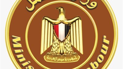 وزارة العمل تطلق تدريبًا مجانيًا على مِهن مُستحدثة ومهارات اللغة الإنجليزية 