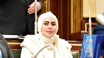 رحاب موسى: ارتفاع إيرادات قناة السويس 40% تأكيد على نجاح المنطقة الاقتصادية في تطوير البنية التحتية