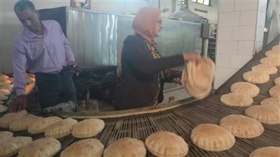 مدينة الروضة بدمياط تستجيب لمطالب المواطنين 