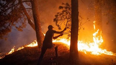 كندا.. حرائق الغابات الضخمة تلتهم أكثر من 10 ملايين هكتار