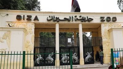 صيانة وترميم  الآثار التاريخية.. أولى مراحل تطوير حديقة الحيوان