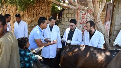 طب بيطري جامعة سوهاج تنظم قافلة مجانية لقرية الأحايوة 