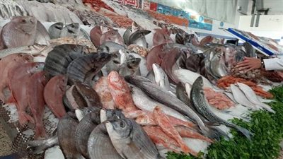 أسعار الأسماك بالأسواق اليوم الأحد