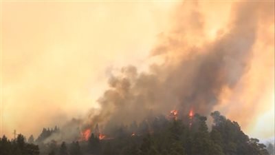 الحرائق تلتهم جزيرة لابالما الإسبانية (شاهد) 