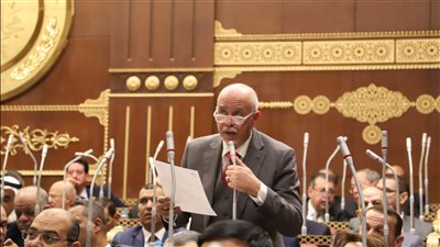 النائب حازم الجندي: قمة 